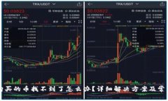 在TP钱包购买的币找不到了怎么办？详细解决方案