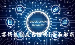 加密货币数字钱包到底靠谱吗？全面解析与用户