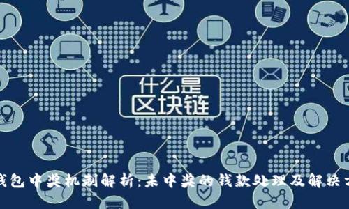 TP钱包中奖机制解析：未中奖的钱款处理及解决方案