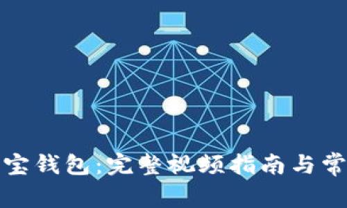 如何使用波宝钱包：完整视频指南与常见问题解答