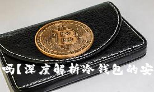 冷钱包安全吗？深度解析冷钱包的安全性与风险