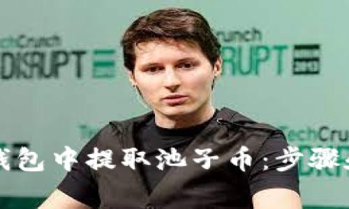 如何在TP钱包中提取池子币：步骤和注意事项