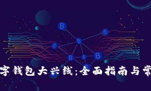 如何开通数字钱包大兴线：全面指南与常见问题解答