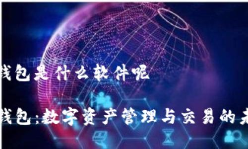 tp钱包是什么软件呢

TP钱包：数字资产管理与交易的未来