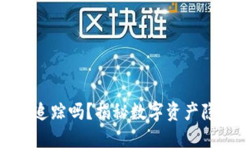 TP钱包能被追踪吗？揭秘数字资产隐私与安全性