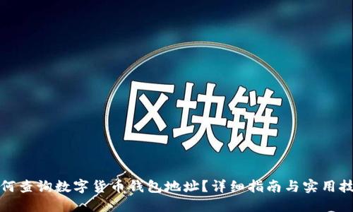 如何查询数字货币钱包地址？详细指南与实用技巧