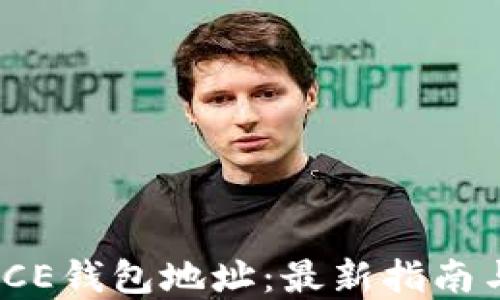 
如何绑定ICE钱包地址：最新指南与实用技巧