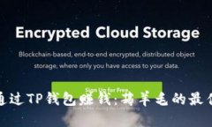 如何通过TP钱包赚钱：薅羊毛的最佳攻略