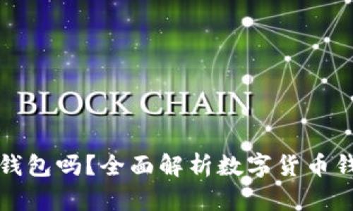 只有助记词可以打开钱包吗？全面解析数字货币钱包的安全与恢复机制