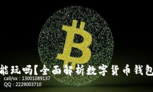 数字货币钱包能玩吗？全面解析数字货币钱包的功能与优势