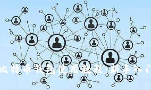 全面解析比特币钱包使用教程：新手入门操作指南