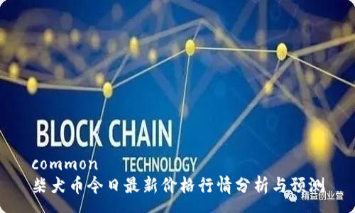 common
柴犬币今日最新价格行情分析与预测