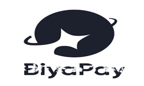 数字资产钱包的类型解析：全面了解您的数字货币安全方案