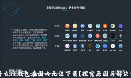 
为什么TP钱包在国内无法下载？探究原因与解决方案