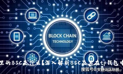 tp钱包里的BSC是什么？深入解析BSC及其在tp钱包中的应用