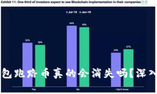 ## 虚拟钱包跑路币真的会消失吗？深入分析与思考