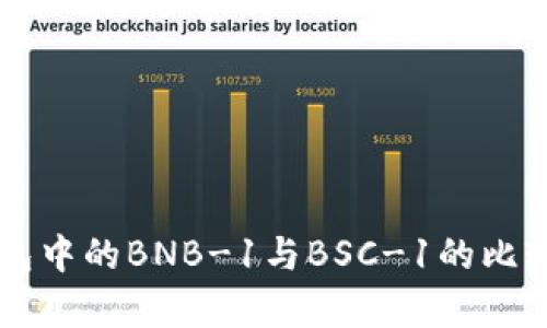### TP钱包中的BNB-1与BSC-1的比较与应用分析