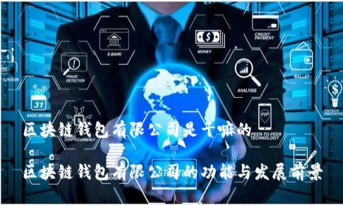 区块链钱包有限公司是干嘛的

区块链钱包有限公司的功能与发展前景