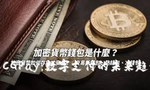 全面了解CGPay：数字支付的未来趋势与影响