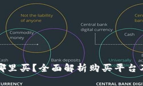 狗狗币在哪里买？全面解析购买平台及注意事项