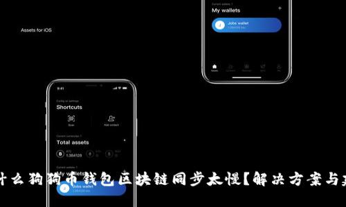 为什么狗狗币钱包区块链同步太慢？解决方案与建议