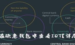 如何在欧意钱包中查看IDT？详尽指南