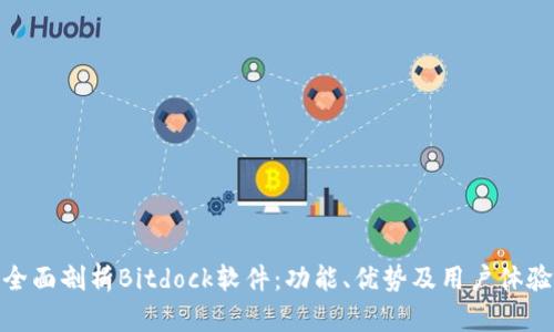 全面剖析Bitdock软件：功能、优势及用户体验