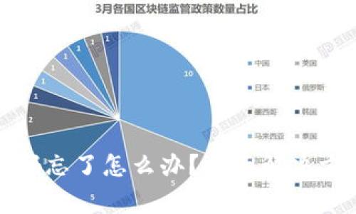 TP钱包支付密码忘了怎么办？全面解决方案与注意事项