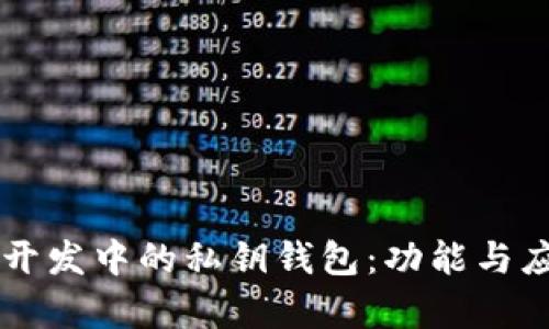 区块链开发中的私钥钱包：功能与应用解析