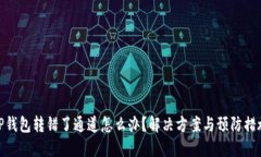 TP钱包转错了通道怎么办？解决方案与预防措施