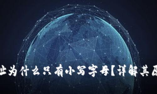 TP钱包地址为什么只有小写字母？详解其原因及影响