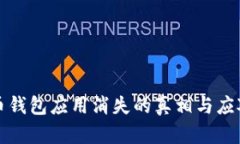 虚拟币钱包应用消失的真相与应对策略