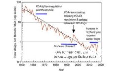 TP钱包如何处理BHB转账：全面指南与常见问题解析