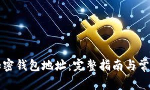如何设置加密钱包地址：完整指南与常见问题解析