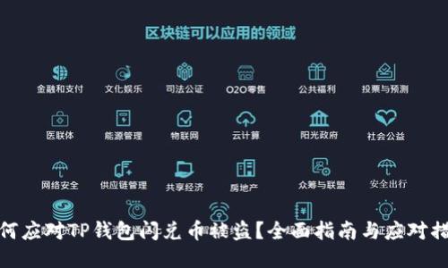 如何应对TP钱包闪兑币被盗？全面指南与应对措施