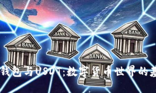 了解TP钱包与USDT：数字货币世界的基础知识