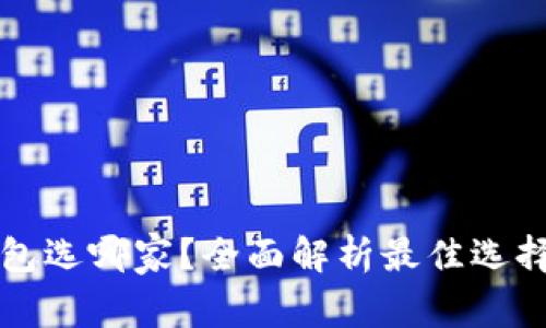 开通数字钱包选哪家？全面解析最佳选择与使用指南