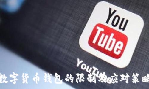   
数字货币钱包的限制及应对策略