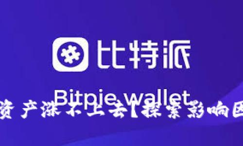 为什么TP钱包资产涨不上去？探索影响因素与投资策略