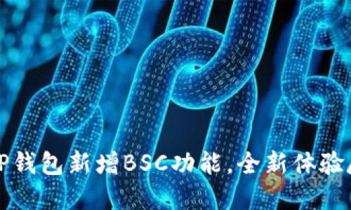 电脑版TP钱包新增BSC功能，全新体验尽在掌握