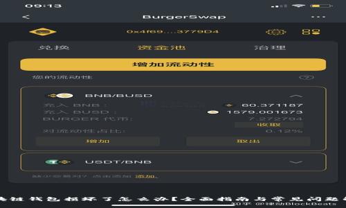 区块链钱包损坏了怎么办？全面指南与常见问题解答