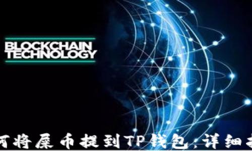 
如何将屎币提到TP钱包：详细指南