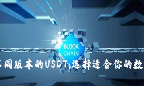 解析TP钱包中不同版本的USDT：选择适合你的数字资产管理工具