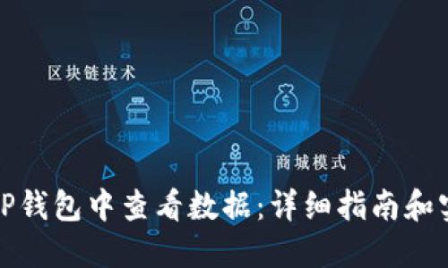 如何在TP钱包中查看数据：详细指南和实用技巧