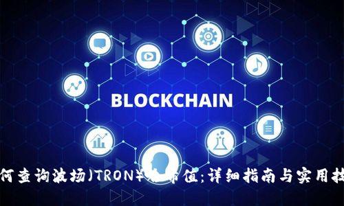 如何查询波场（TRON）哈希值：详细指南与实用技巧