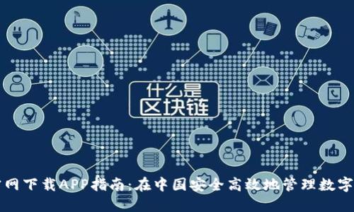 TP官网下载APP指南：在中国安全高效地管理数字资产